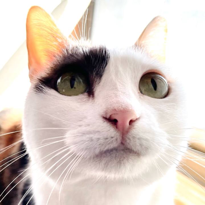 A40ecbcb dc8f 4225 9a4d 8dd8da61b201 1640660875359