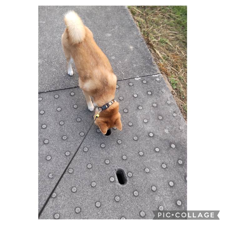 A40ef083 fcec 4705 8e4a e00755ebf896 1702248926458