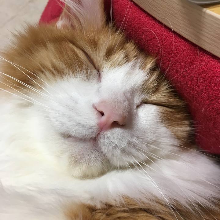 A40efe49 5f15 415d 84c3 aa17173da46f 1514645271392