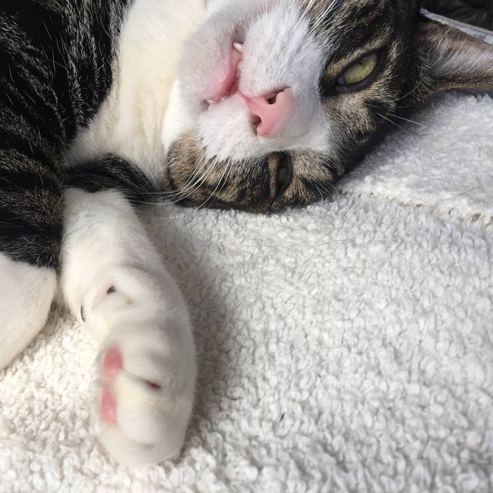 A40f0eca 5af0 45a8 bd18 673411494f62 1521949311286