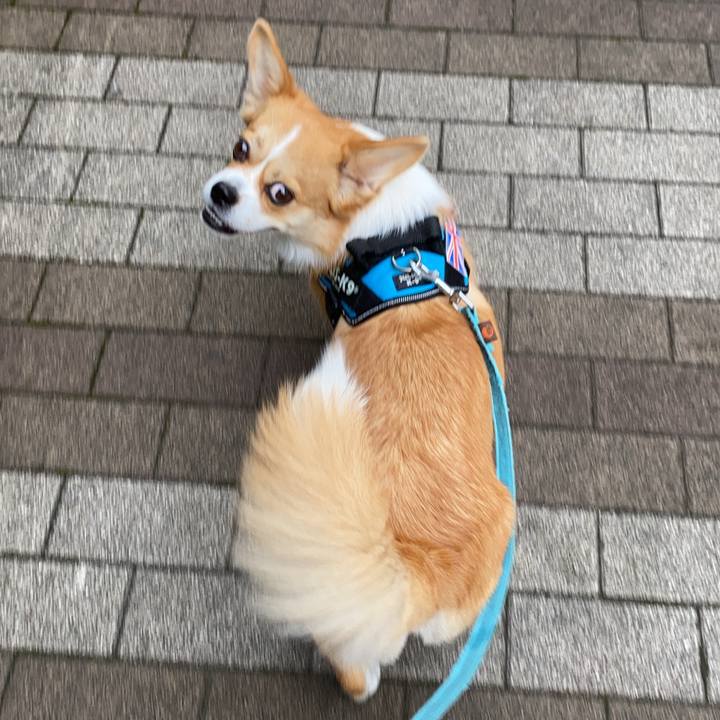 A40f4efc 288d 46c6 a522 2950b9a2ba54 1626145611082