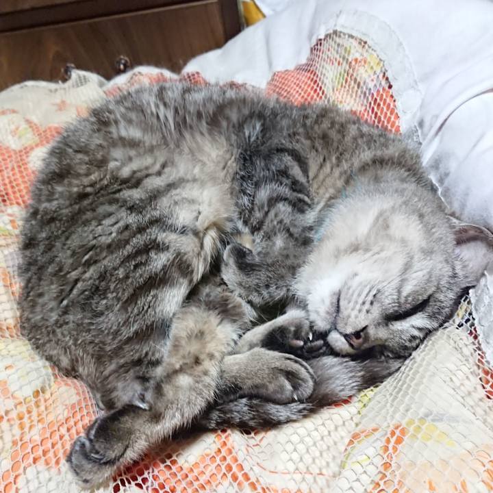 A40f51ff b849 4dc6 9f32 fa895cd850b5 1570106013381