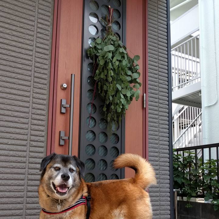 A40f5520 44bc 4b35 9c94 4355d9fbcc87 1527947603135