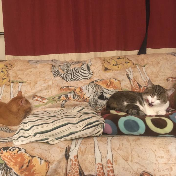 A40f9043 2a1a 4b60 a9a7 44154392b46c 1633133388723