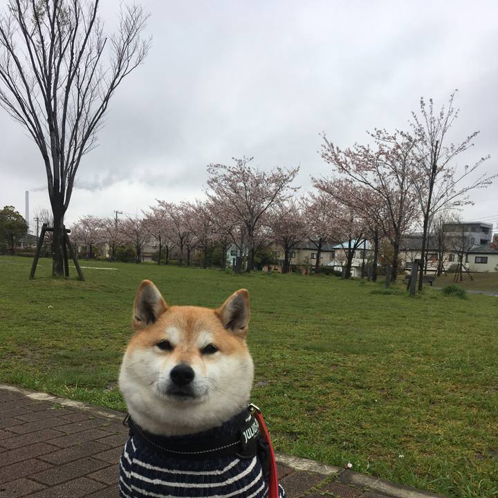 A40fbdbe 7ebb 45cd 90f2 9a1290235c6c 1585466696040