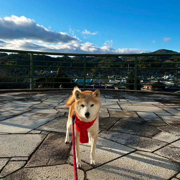 A40fcdb1 db74 435b 9822 91f45ff4774c 1765798375257