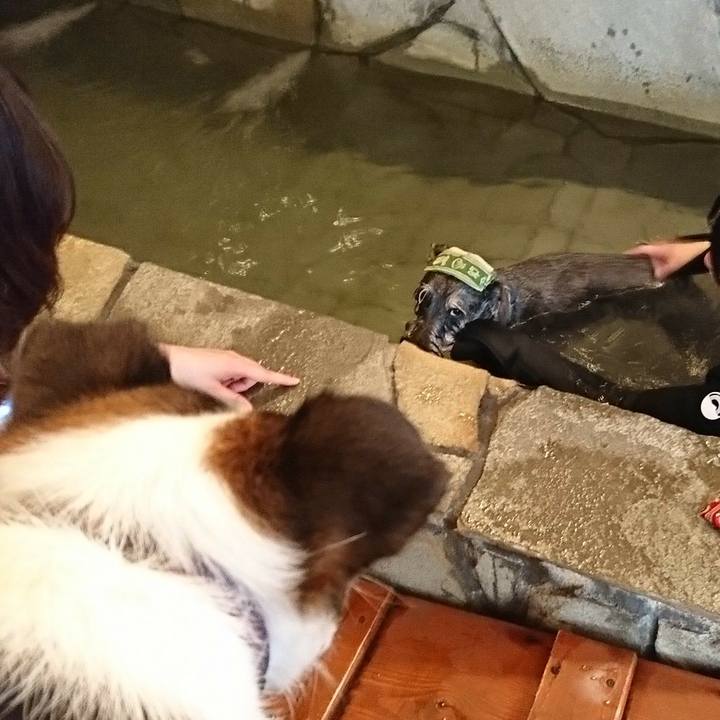 A410082f e6ee 4ece 98a2 b1a12e3b36d5 1521620637527