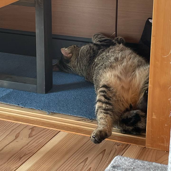 A4101c2b 0463 466e ba14 87981f78a863 1759105665236