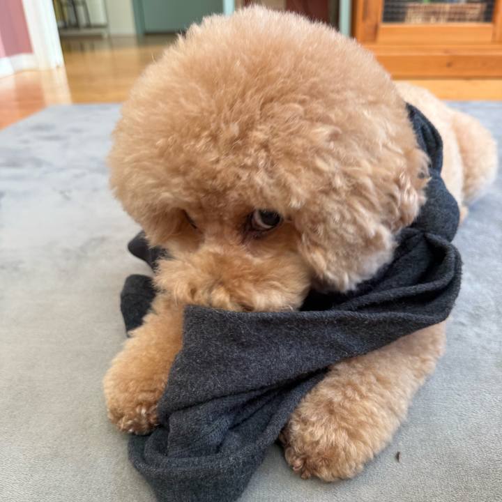 A4108600 279e 46a8 8e98 0b0660e43703 1764111266211