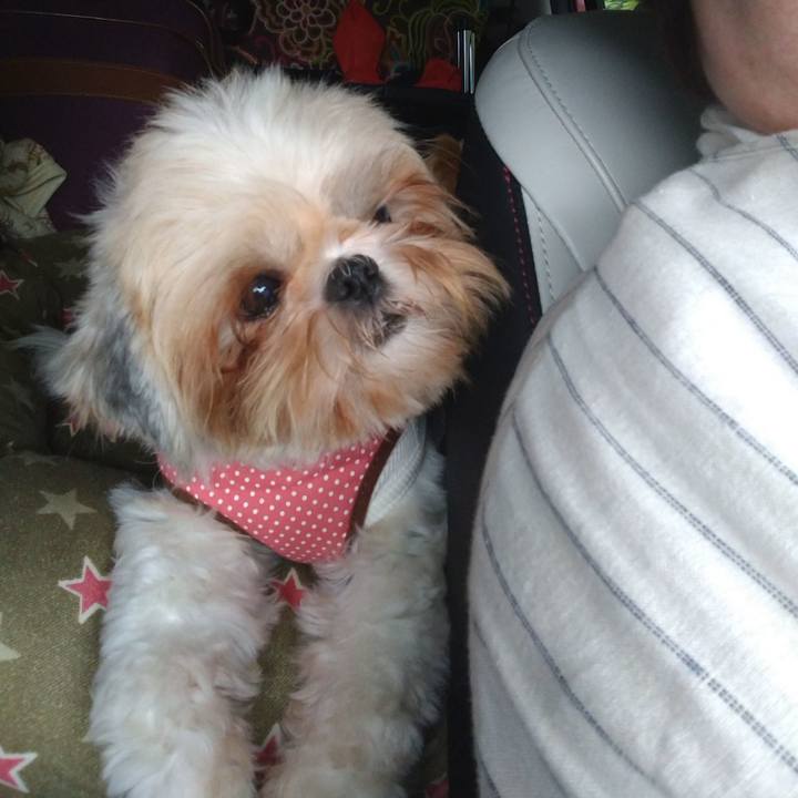 A410908e fa43 47c3 be56 fea34ea62ab7 1600903954384