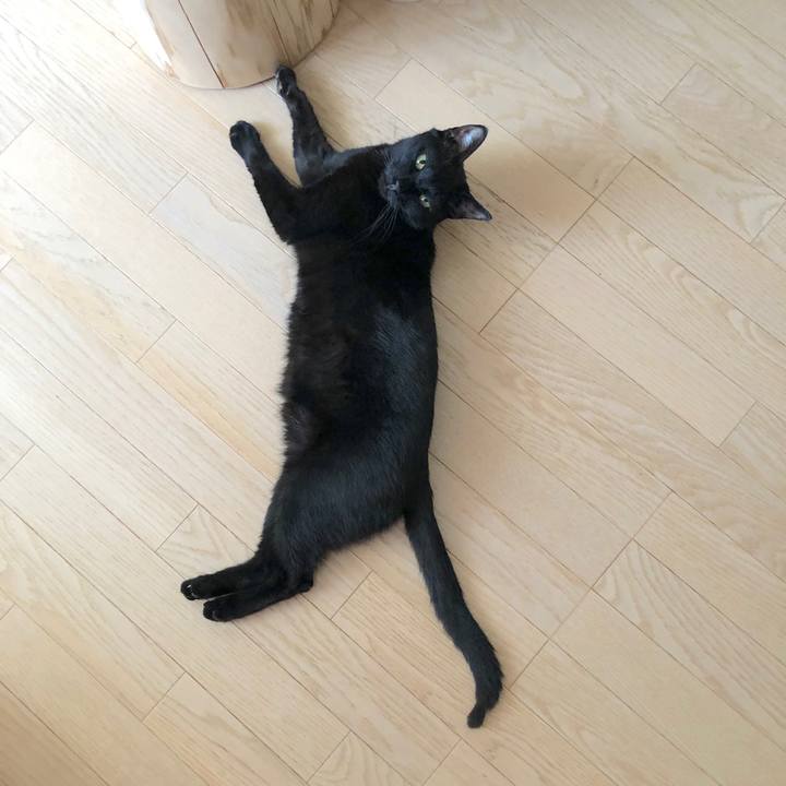 A410a894 14ab 40b6 aca3 bd51180447b0 1557584110742