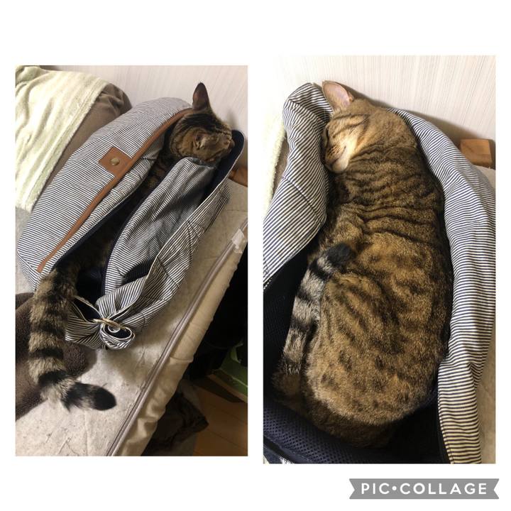 A410c9a8 bc09 41a5 988d 1de3739aeccb 1639171379458