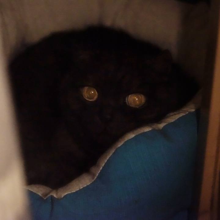 A410d556 498b 45fc beea 6c2e84dd8d3c 1562083039182