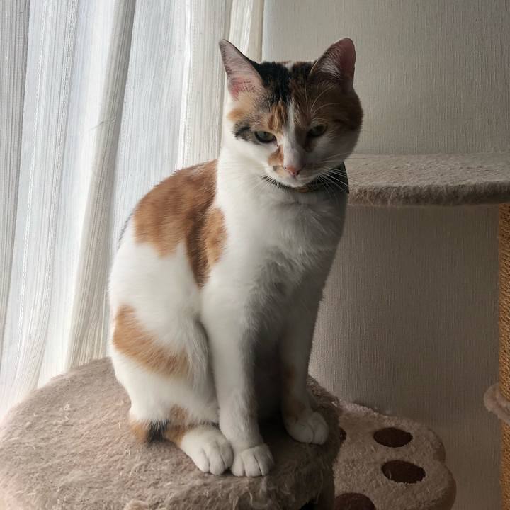 A410f1dd b918 4626 8b92 6d2e62632eda 1593731518410