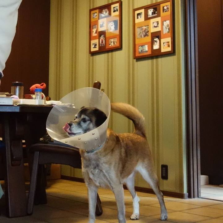 A4113c41 2eef 4fc1 ab52 fc8f5f0ad8d4 1654214897667