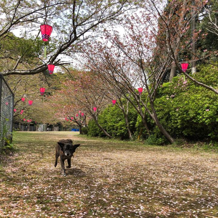 A41169eb 8b08 4f83 8155 ba4c79f269e2 1617369843004