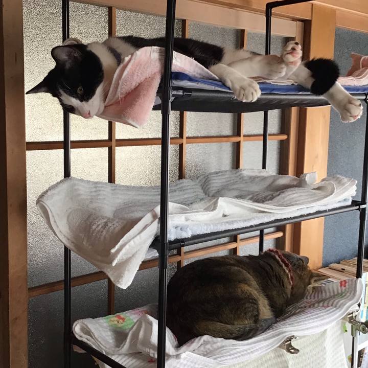 A411a730 c48d 49e8 a585 62df7cccd554 1637036017380