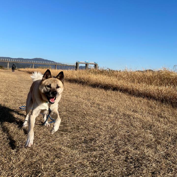 A411e260 8743 40f5 9dc4 3f2dd29a9888 1641638754151