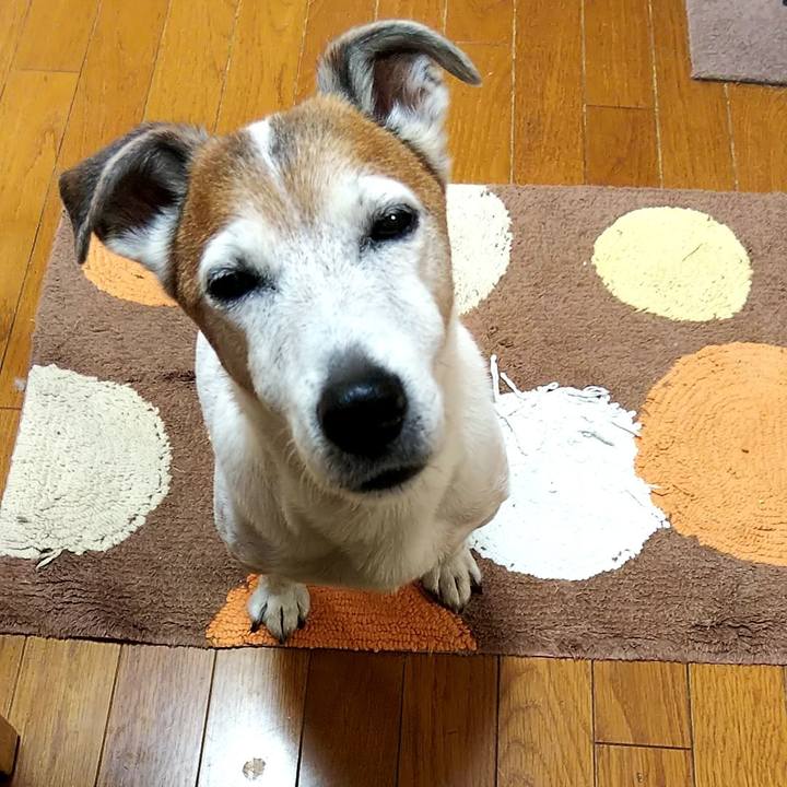 A411ea55 191c 4b91 bd0a 67daca82c55a 1551737720151