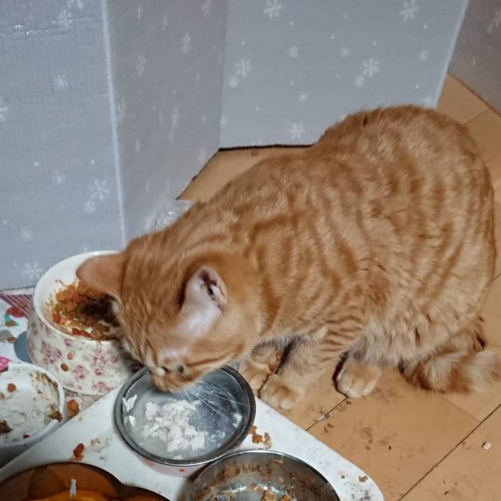 A412288d d0fc 4001 9c2d 84cc82ad1336 1639949601256