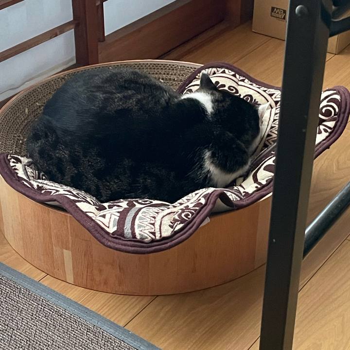 A4124a3e 799c 4dcb 9abb 1ab1557129ba 1702708276472