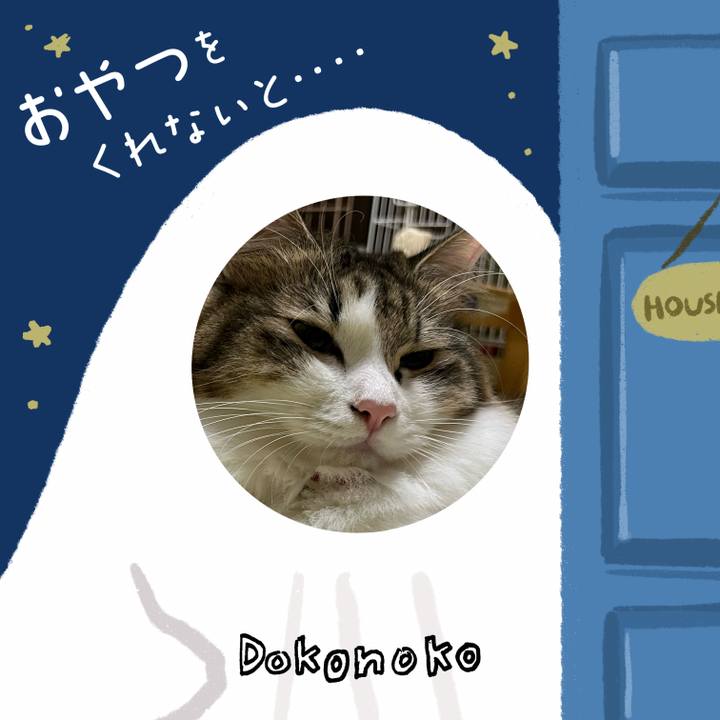 A4125f92 2355 4d26 9654 09c2297241bd 1729046853761