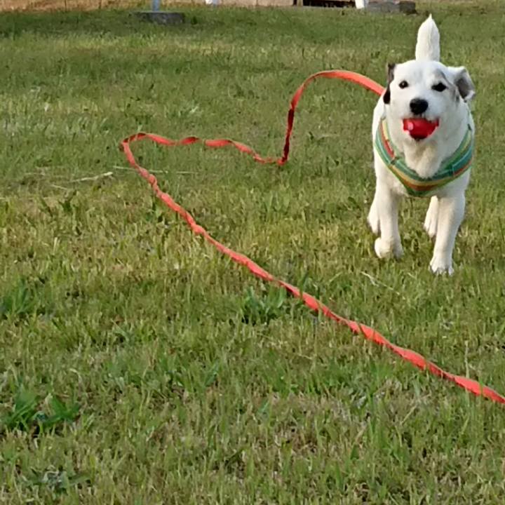 A412b5d2 26a0 40b1 8790 732a9848fd5e 1557964314710