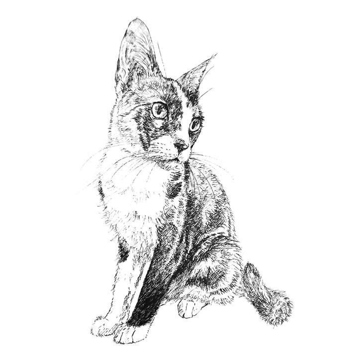 A412bdef 995e 445e 81bc c7acef64f755 1596464947326