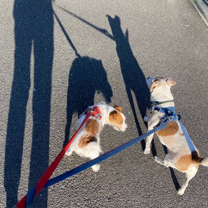 A412d1e7 7067 4053 bf38 7eb6f5f1552e 1661726568766