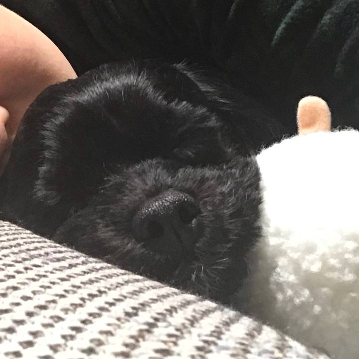 A412eab8 c542 44e3 bc40 5880678cf990 1517487157839