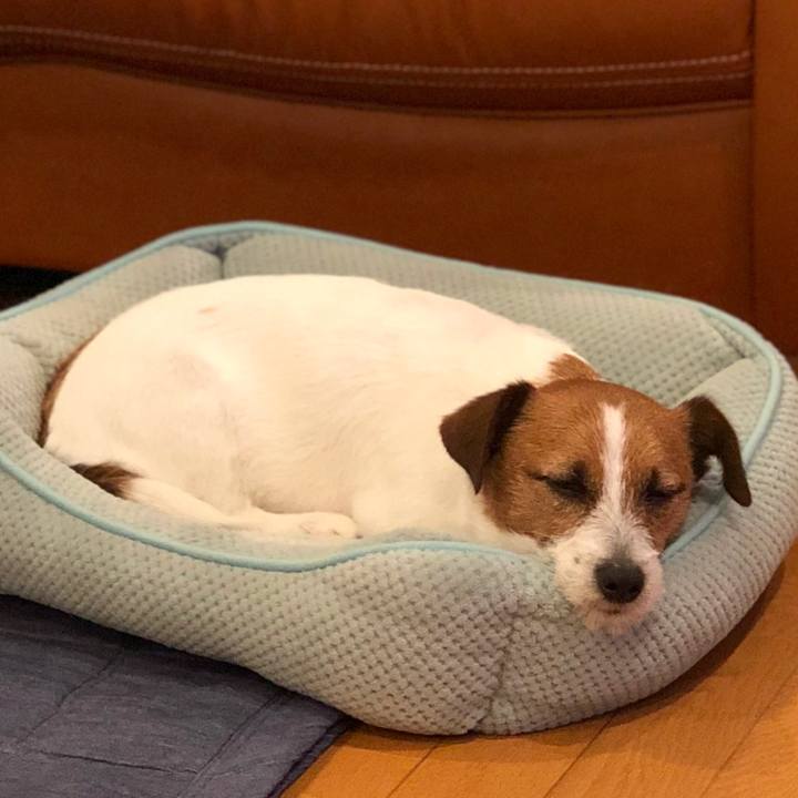 A412efec 8020 468d b971 a89303c445af 1524052972543