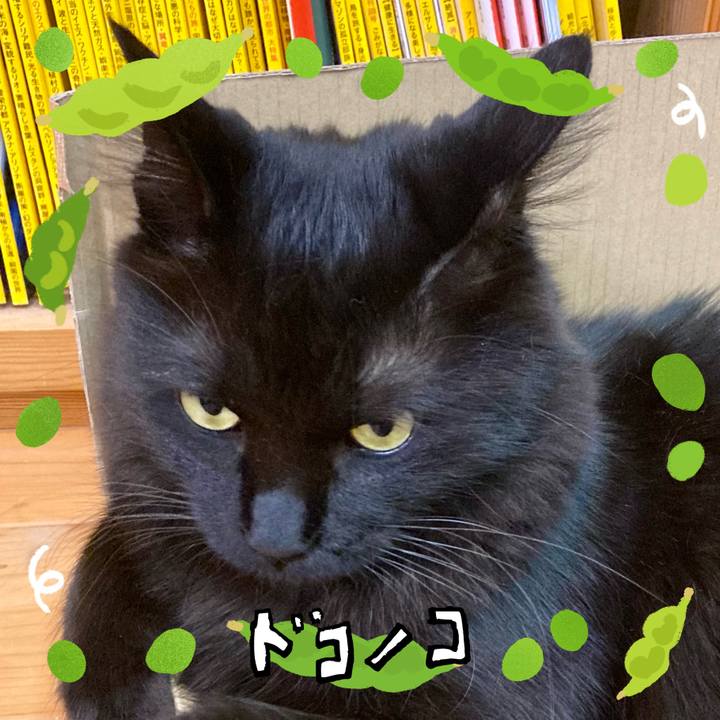 A4130b3a 34b5 4365 997b 53b9179b67ec 1720775435511