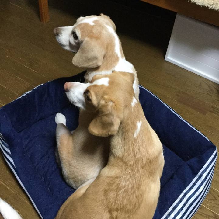 A4130e2d 9031 4a73 a218 b4489ceb5347 1558862471145