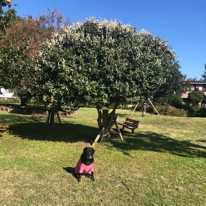 A4132ea5 1e4d 43c8 bb34 4976811907ed 1573003031399