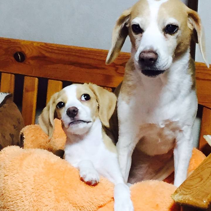 A413b5dd 6762 41f5 9569 38783c4efda4 1671176530052