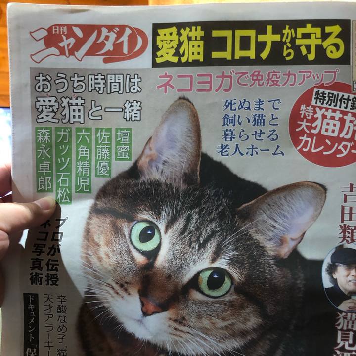 A413c1a6 79ef 4f31 867b 8ea60d0b8365 1615021914647