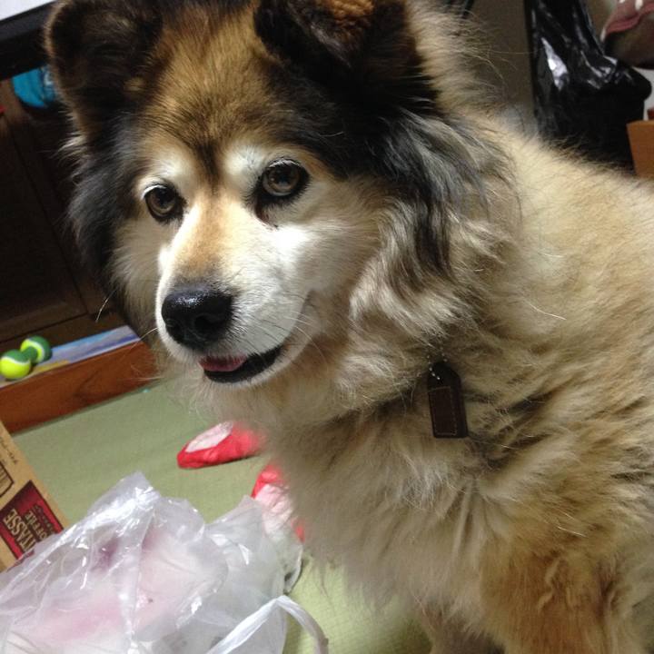 A413ca71 e7e5 4fdc b927 e3cca25c35d8 1600937404965