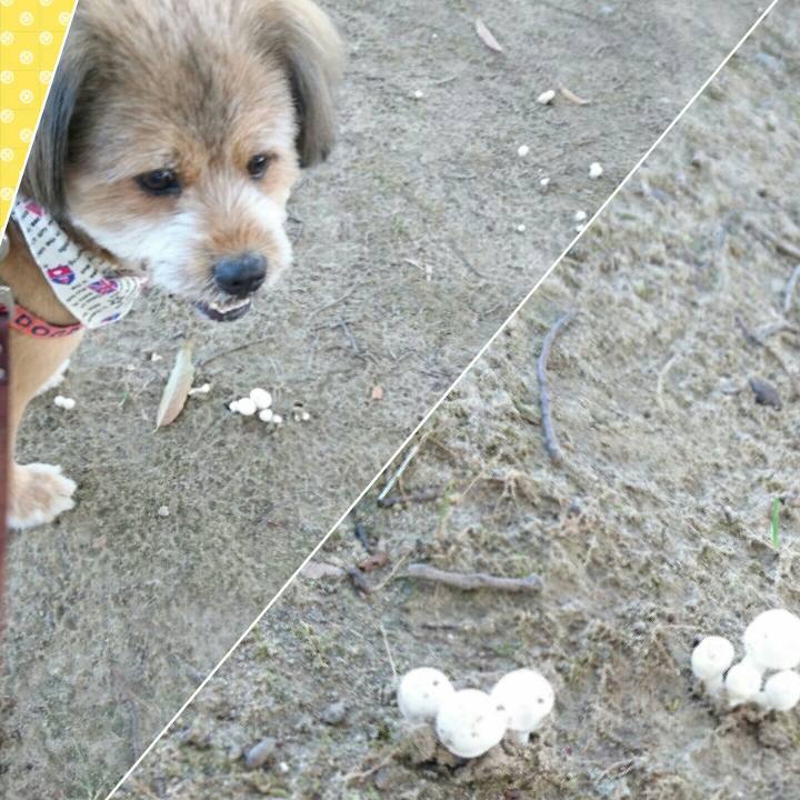 A413ed4f 8682 4dab 9d89 026c34368a5b 1536015804561