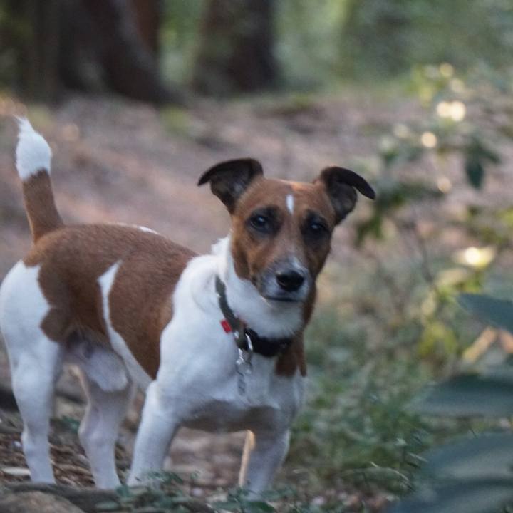 A413fbee d11a 4f6d a96a b64871b6be74 1522886538159