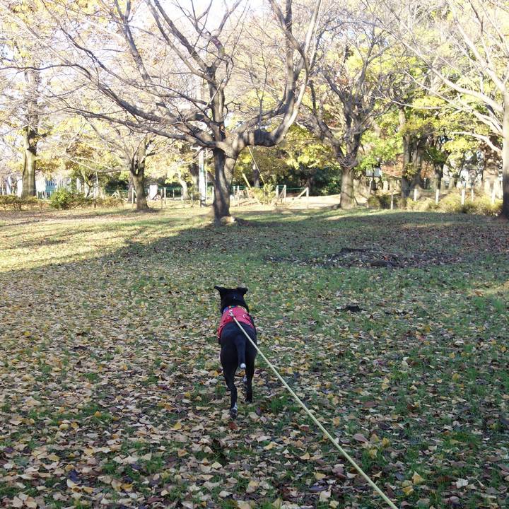 A413fe54 3d05 423c a14a 57031c205023 1669506087418