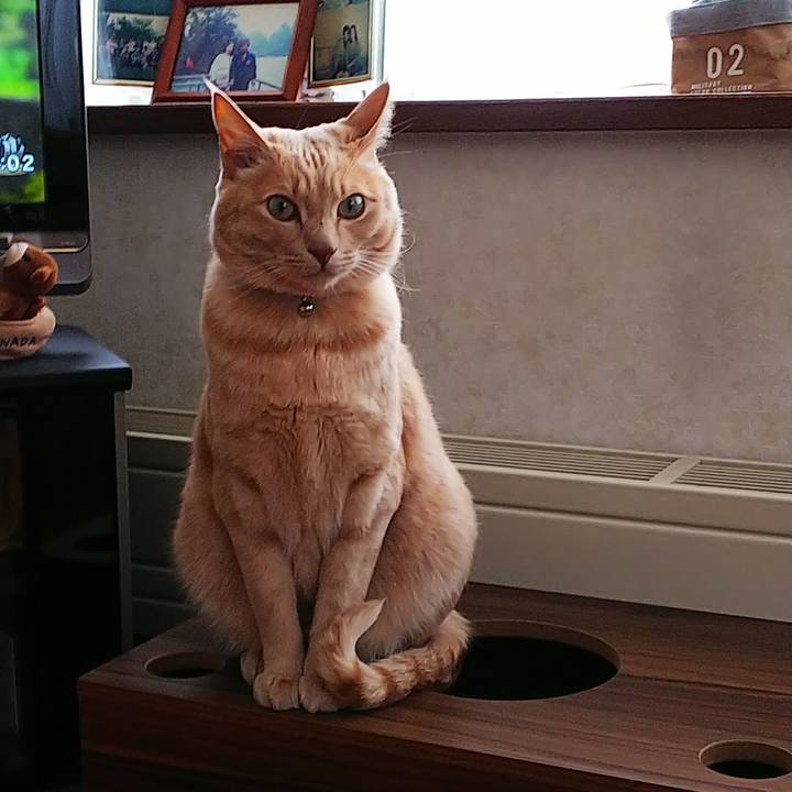 A4140548 bc04 48e1 bfdf 02ea173c27e4 1609196904512