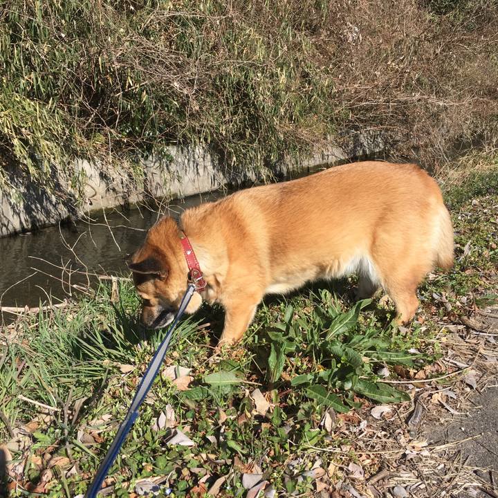 A414616b af8e 47c0 8e7d e8b9869337c7 1520814757553