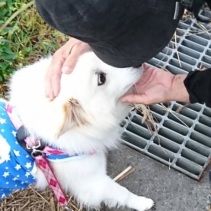 A41461a1 a7a9 48ec 890b d95c68108051 1508190227368