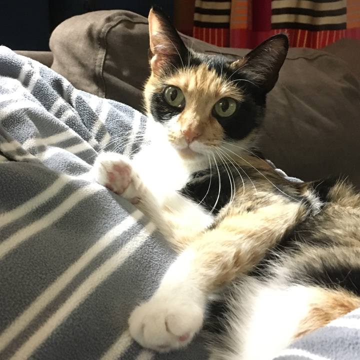 A414725f 35cd 4ff2 9aa0 a868e8a6abd0 1510321365172