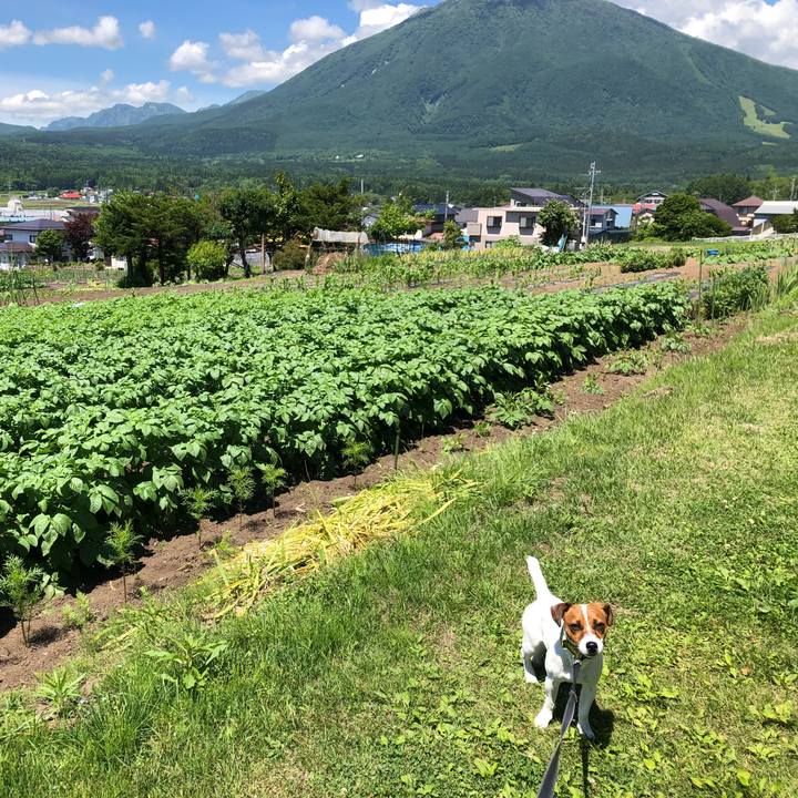 A4147657 3948 499f b4f9 3ce9f669c88e 1529406391057