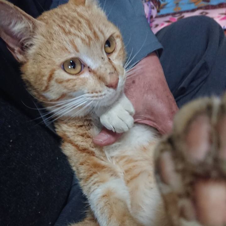 A4147b68 1d1c 4817 9b40 11045e1f56d0 1555710669926