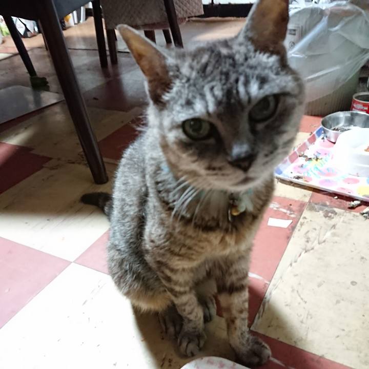 A4147f89 62ae 434d b26e 13baf5f17cfd 1565898726204