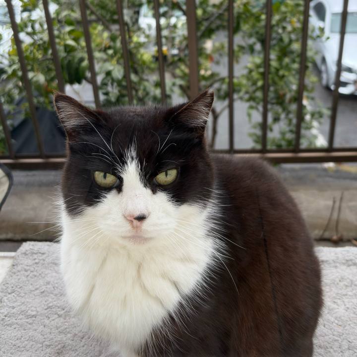 A414969a 1039 487b ad3d 5d335c19ec20 1774483270303