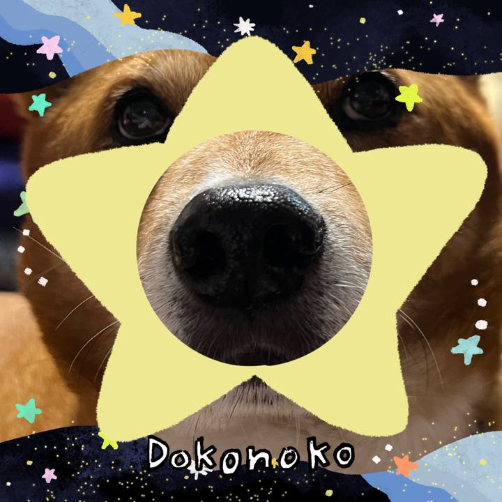 A414a1e3 3bc7 4d73 8af8 5272d942d82d 1720907333661