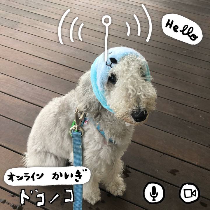 A414d6af 7080 4330 8c33 196f85fceaa7 1590706638323